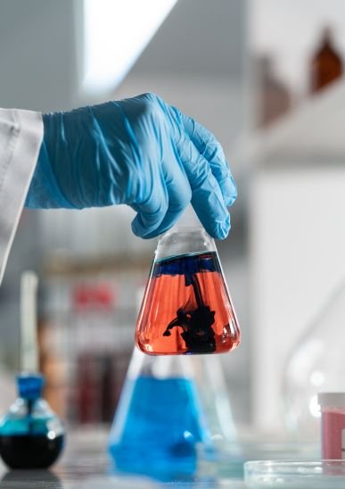 Ozon Plus Review Section 2